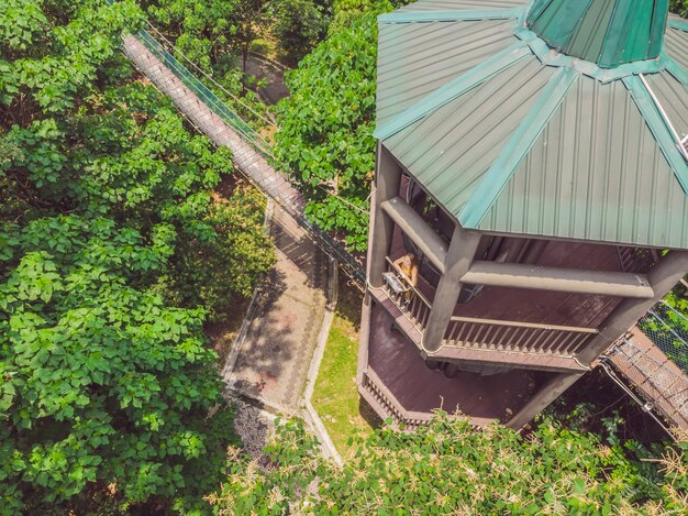 Young woman tourist at capilano suspension bridge kuala lumpur forest ecopark areial view