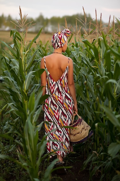 Young woman in a tradition dress picking corn harvest with basket in a hand 