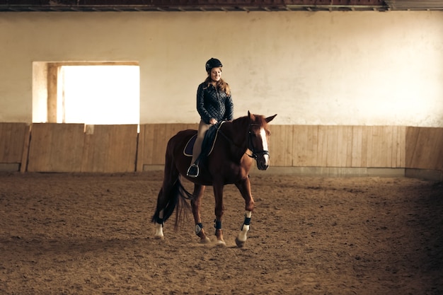 Young woman training brown horse in riding hall