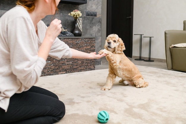 家で犬を訓練する若い女性