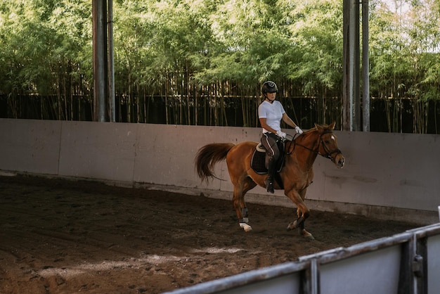 若い女性は、アリーナで乗馬の訓練をします。砂浜のアリーナを横切って乗馬するフォーマルな服を着た若い白人女性。乗馬スポーツのための血統の馬。馬に乗ったスポーツ選手