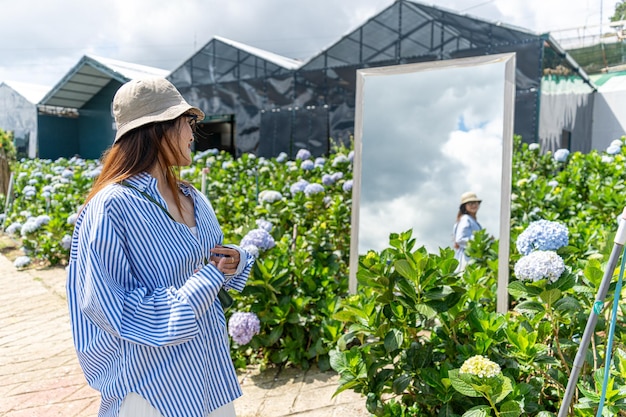 Young woman traveler enjoying with blooming hydrangeas garden in Dalat Vietnam Travel lifestyle concept