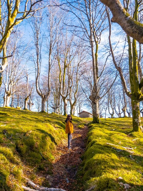 A young woman walking along the path of the Oianleku beech forest, in the town of Oiartzun, Gipuzkoa. Basque Country