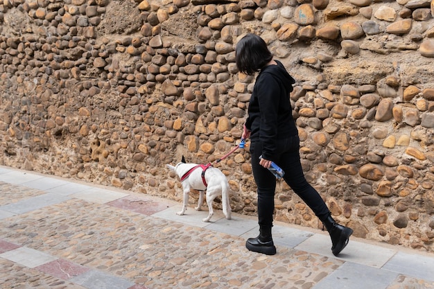 Foto giovane donna che cammina con un cane senza volto