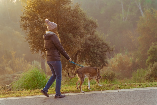 写真 朝日、暖かい輝きと長い影の光線で自然の中で彼女の犬を歩く若い女性