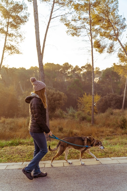 朝日、暖かい輝きと長い影の光線で自然の中で彼女の犬を歩く若い女性