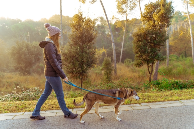 朝日、暖かい輝きと長い影の光線で自然の中で彼女の犬を歩く若い女性