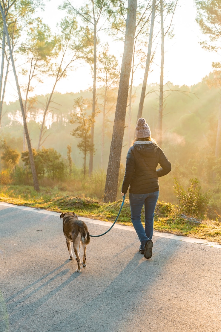 Photo young woman walking her dog in nature with the rays of the morning sun warm glow and long shadows