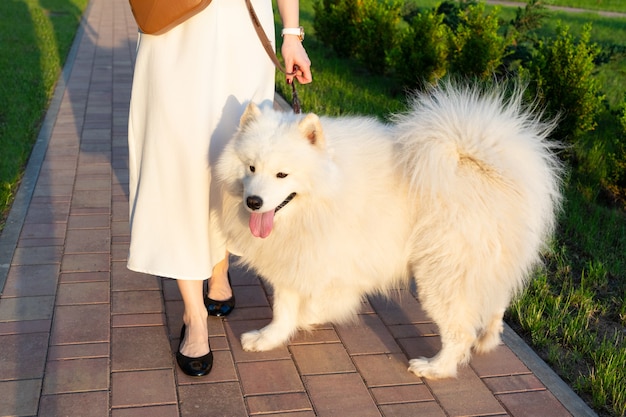 Young woman in a white dress walking her dog