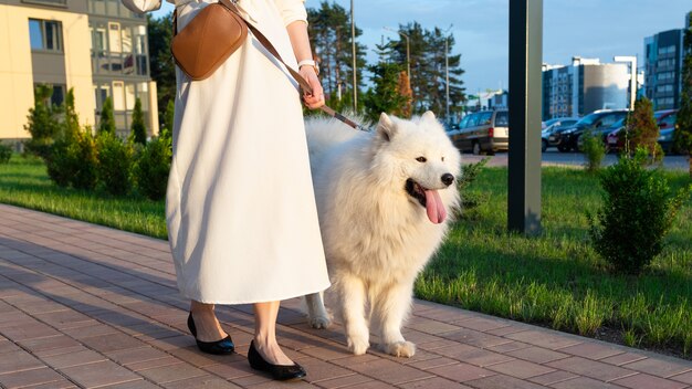 Young woman in a white dress walking her dog