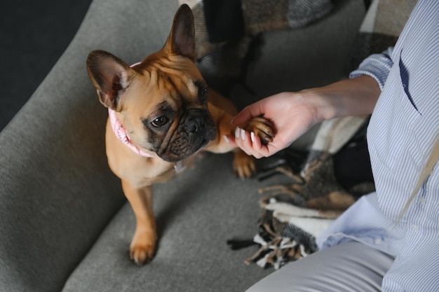 Young woman with her cute dog at home Lovely pet