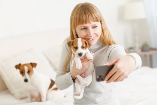 Young woman with her cute Jack Russell Terrier in a chair at home white pet