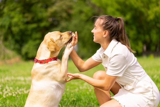 素敵なペットの動物の愛の概念の外の彼女のかわいい黄色のラブラドールを持つ若い女性