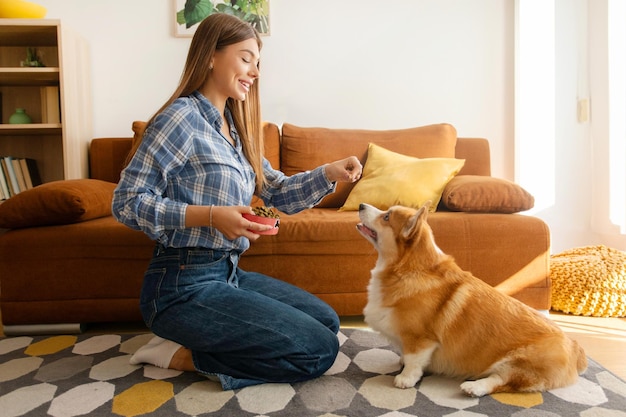 Young woman with welsh corgi dog training activities to obey commands in living room holding bowl