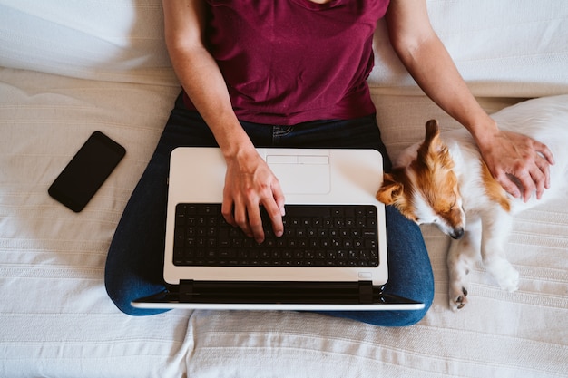 Young woman working on laptop at home, sitting on the couch,\
cute small dog besides. technology and pets concept
