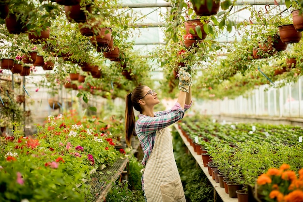 Young woman working with spring flowers in the greenhouse