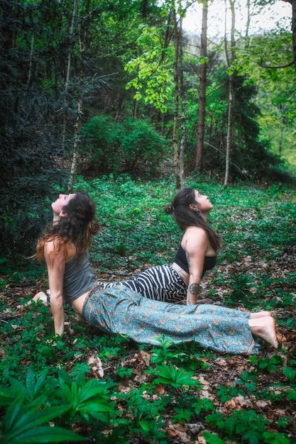 Young women practice yoga in pairs in a forest
