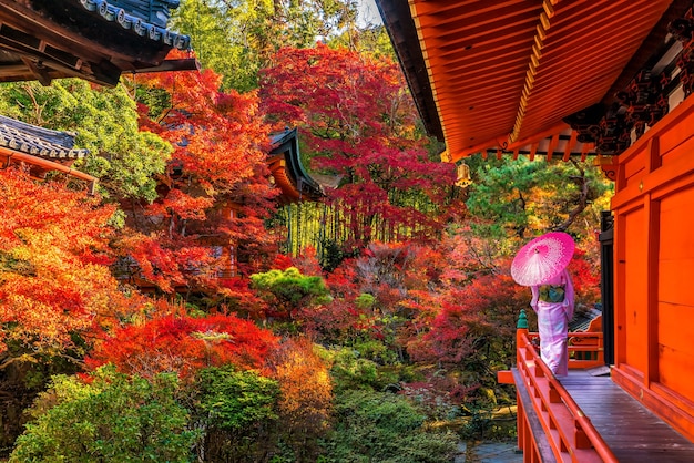 일본 교토, 가을에 화려한 붉은 단풍나무가 있는 일본 전통 기모노를 입은 젊은 여성