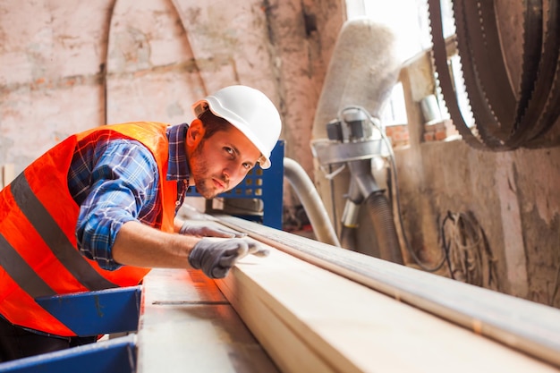 The young workers are cutting boards at the wood factory