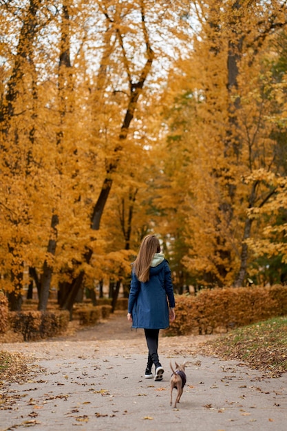 Foto giovane wowan che cammina con toyterrier nel parco autunnale vista dal retro