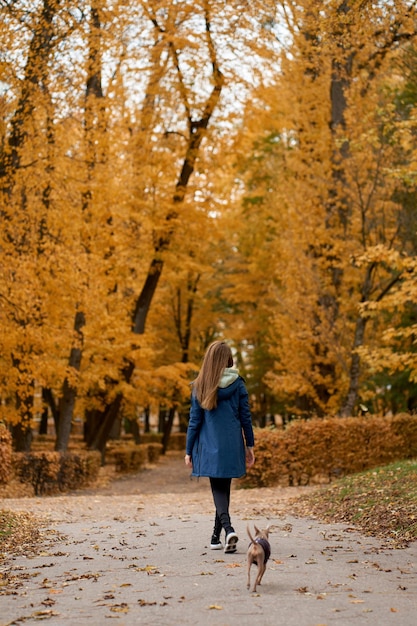 Фото Молодой вован гуляет с тойтерьером в осеннем парке