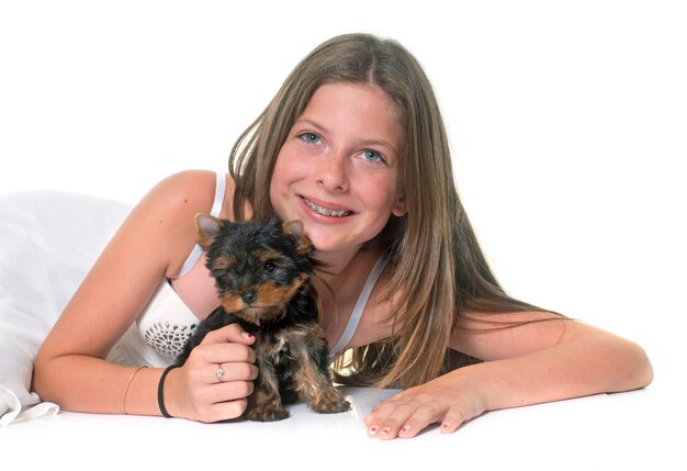 young yorkshire terrier and child
