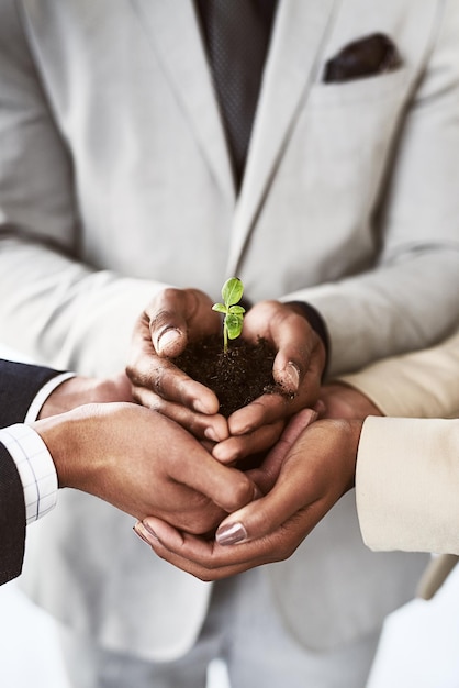 あなたのビジネスは、土壌から成長している植物を持っている認識できないビジネスマンのグループの適切なチームのクローズアップショットで成長します