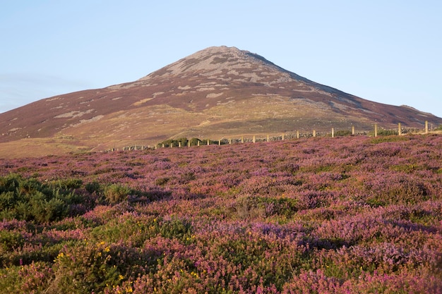 Yr Eifl-gebergte bij Llithfaen, Pwllheli, schiereiland Llyn, Wales, VK