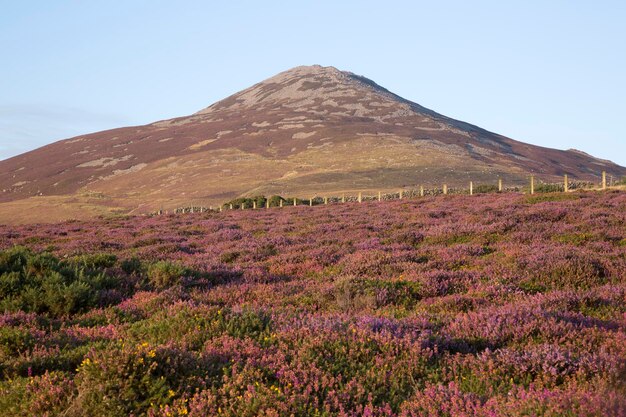 Llithfaen、Pwllheli、リン半島、ウェールズ、イギリスの近くの Yr Eifl 山