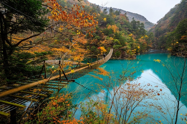 Yume no Tsuribashi suspension bridge on the emerald river in autumn season at Sumatakyou