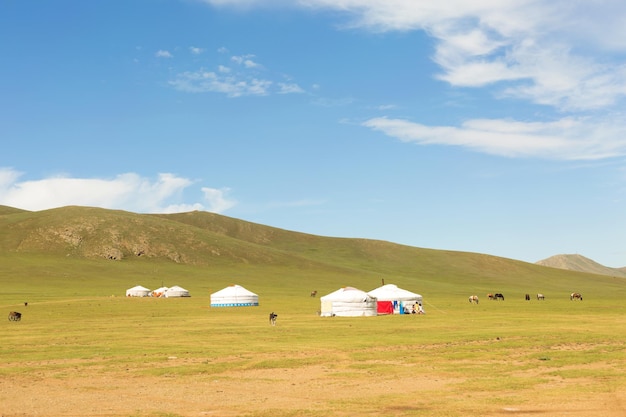 Yurts and horses in mongolian steppe