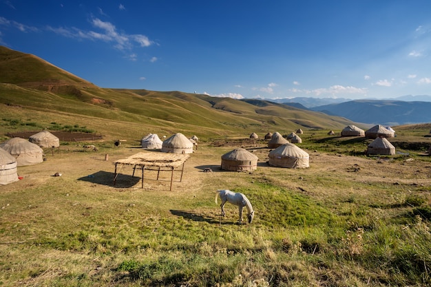 Yurts in the pasture