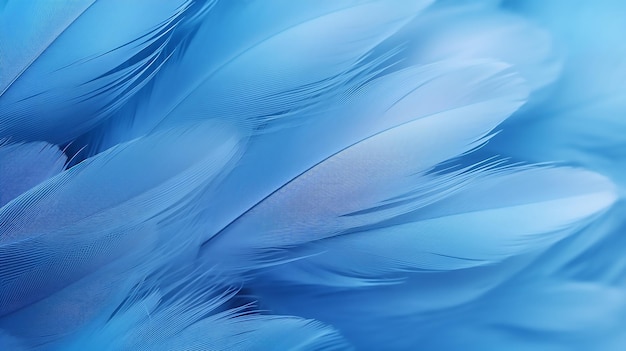 Zacht fluisteren zacht focus vogelveren achtergrond in een rustige blauwe schaduw