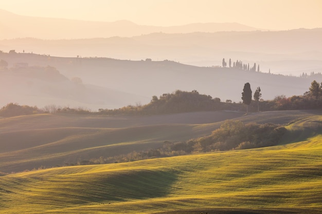 Foto zacht herfstlandschap golvende heuvels en velden bij zonsopgang toscane italië europa