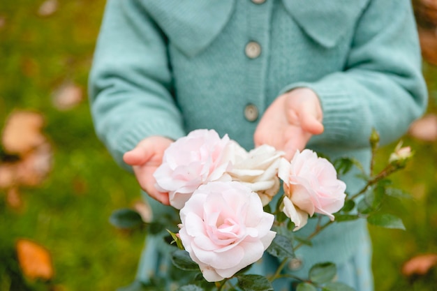 Zacht roze rozen in tuin met handen van klein meisje