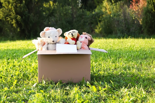 Zacht speelgoed voor donatie in de geopende kartonnen doos op groen gras buiten in zonlicht