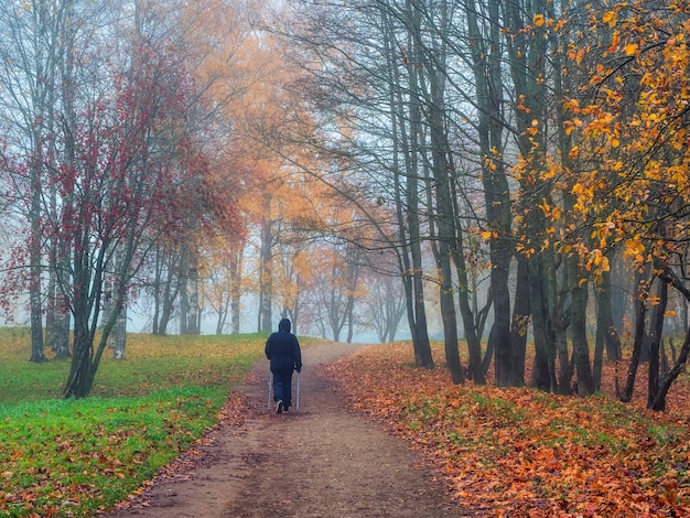 Zachte focus. mistig herfstlandschap in een park waar kleurrijke gevallen bladeren een wandelpad bedekken. oude man die draagt, loopt langzaam over de bladeren. gele bomen op de achtergrond.