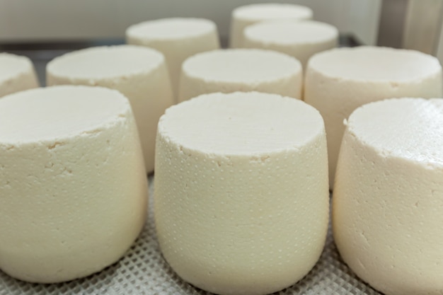 Zachte kazen, verschillende soorten kaas op de planken van een koelkast in een kaasfabriek