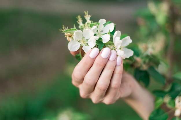 Zachte roze lentemanicure op korte nagels, pasteltinten. Vrouwelijke handen met een bloeiende appelboom. Tuinieren