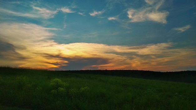 Zachte roze zonsondergang in het veld