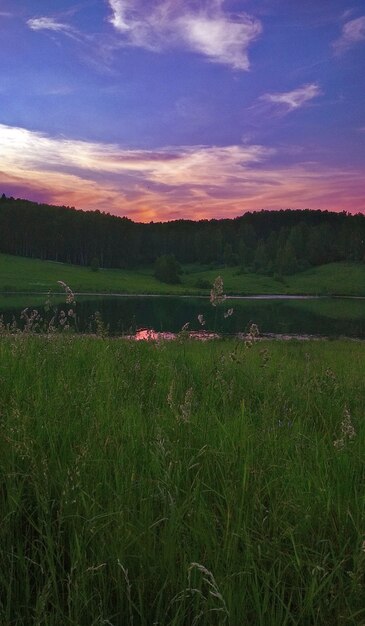 Zachte roze zonsondergang in het veld