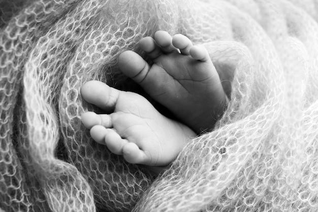 Zachte voeten van een pasgeboren baby in een wollen deken Close-up van tenen, hielen en voeten van een babyDe kleine voet van een pasgeboren babyvoeten bedekt met geïsoleerde achtergrond Zwart-wit studio macrofotografie