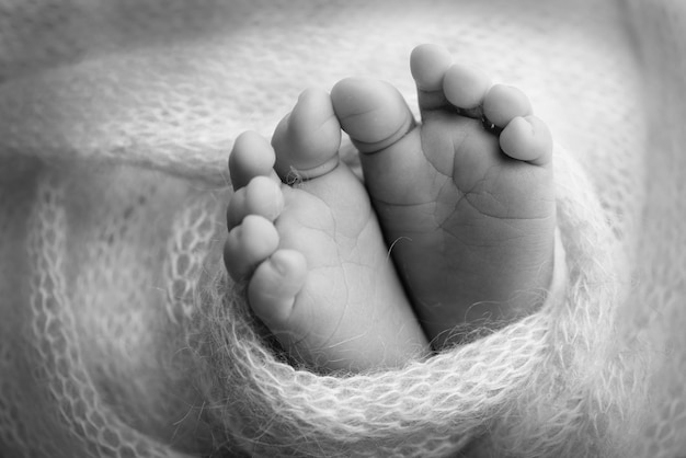 Zachte voeten van een pasgeboren baby in een wollen deken Close-up van tenen, hielen en voeten van een babyDe kleine voet van een pasgeboren babyvoeten bedekt met geïsoleerde achtergrond Zwart-wit studio macrofotografie