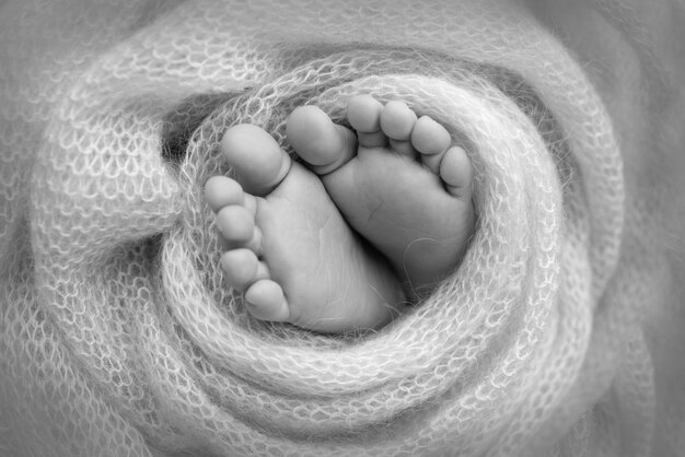 Zachte voeten van een pasgeboren baby in een wollen deken Close-up van tenen, hielen en voeten van een babyDe kleine voet van een pasgeboren babyvoeten bedekt met geïsoleerde achtergrond Zwart-wit studio macrofotografie