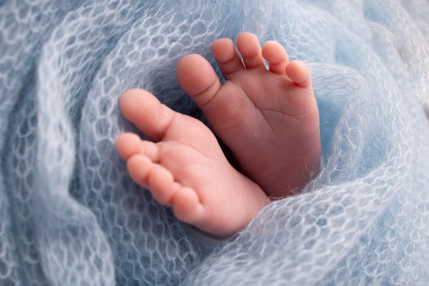 Zachte voeten van een pasgeborene in een blauwe wollen deken Close-up van tenen, hielen en voeten van een pasgeboren babyDe kleine voet van een pasgeborene Studio Macrofotografie Babyvoeten bedekt met geïsoleerde achtergrond