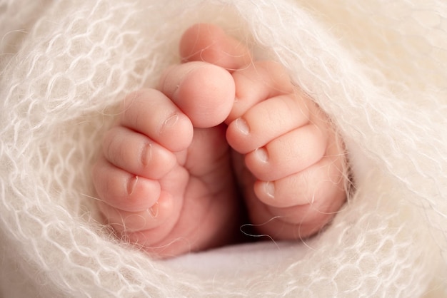 Zachte voeten van een pasgeborene in een witte wollen deken Close-up van tenen, hielen en voeten van een pasgeboren baby De kleine voet van een pasgeborene Studio Macrofotografie Babyvoeten bedekt met geïsoleerde achtergrond