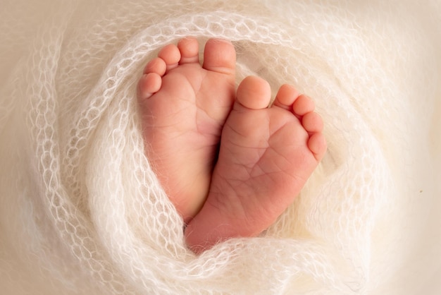 Zachte voeten van een pasgeborene in een witte wollen deken Close-up van tenen, hielen en voeten van een pasgeboren baby De kleine voet van een pasgeborene Studio Macrofotografie Babyvoeten bedekt met geïsoleerde achtergrond