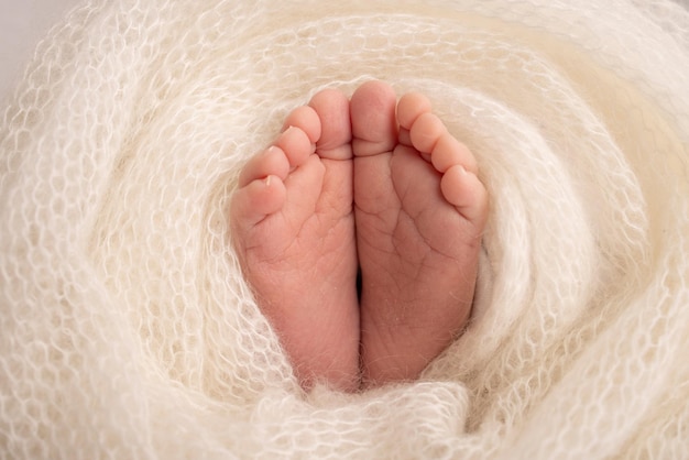 Zachte voeten van een pasgeborene in een witte wollen deken Close-up van tenen, hielen en voeten van een pasgeboren baby De kleine voet van een pasgeborene Studio Macrofotografie Babyvoeten bedekt met geïsoleerde achtergrond