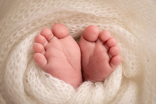 Zachte voeten van een pasgeborene in een witte wollen deken Close-up van tenen, hielen en voeten van een pasgeboren babyDe kleine voet van een pasgeborene Studio Macrofotografie Babyvoeten bedekt met geïsoleerde achtergrond