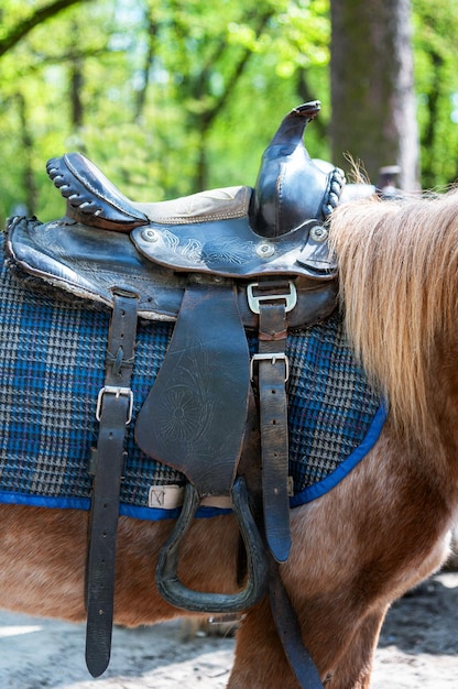 Zadel met stijgbeugels op de rug van een paard